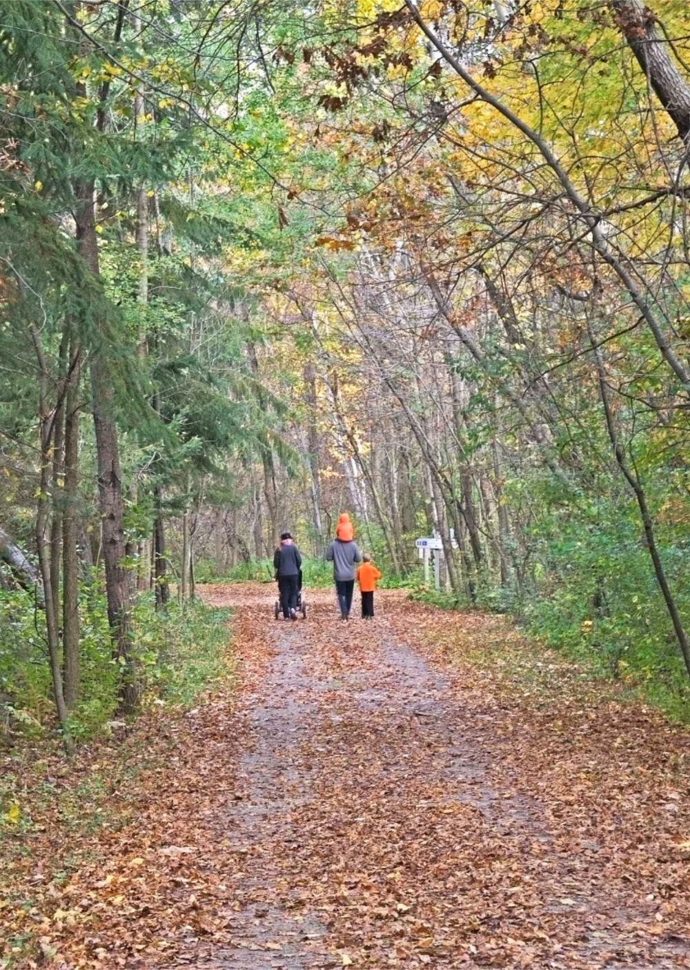 Visitors walking along a leaf-covered woodland trail at Barkhausen